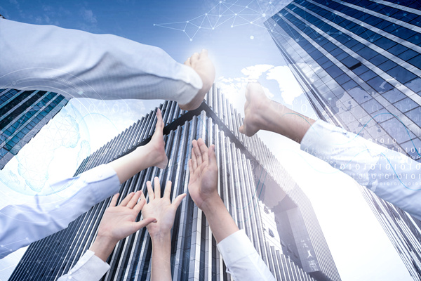 組織結(jié)構(gòu)設計原則