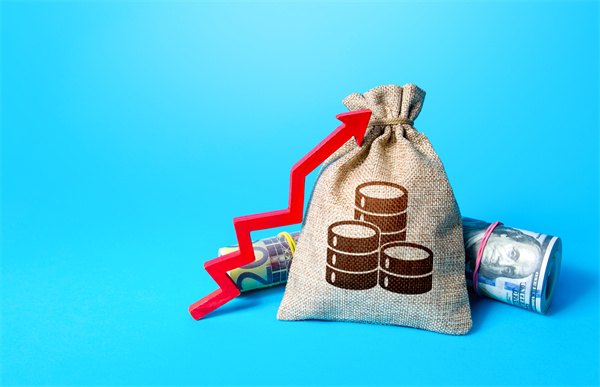 「預算管理咨詢」如何在不同階段制定不同的預算計劃？