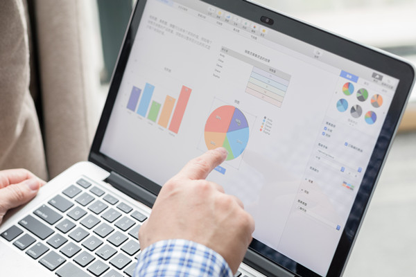 預算控制咨詢：協(xié)助企業(yè)建立控制體系，確保預算執(zhí)行