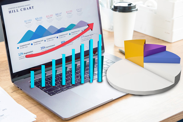 預(yù)算分析：通過數(shù)據(jù)分析，優(yōu)化預(yù)算管理