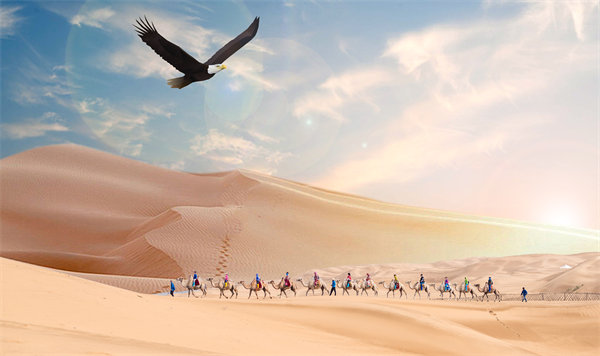 集團(tuán)管控升級(jí)迭代，激發(fā)企業(yè)活力，實(shí)現(xiàn)持續(xù)領(lǐng)先