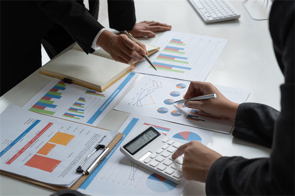 預(yù)算管理策略：優(yōu)化資源配置，提升企業(yè)財務(wù)效能