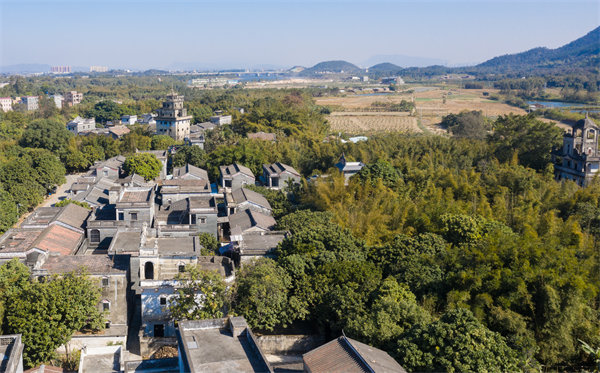 江門管理咨詢公司如何定制高效解決方案？