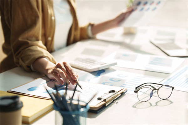 在預(yù)算執(zhí)行中，如何確保監(jiān)控與調(diào)整機(jī)制的有效性？