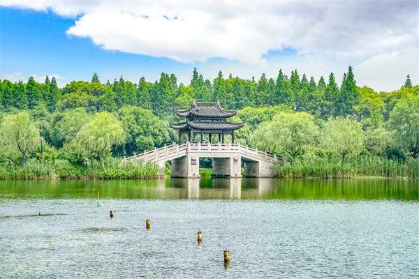 常州組織規(guī)劃咨詢公司如何設(shè)計高效組織架構(gòu)？