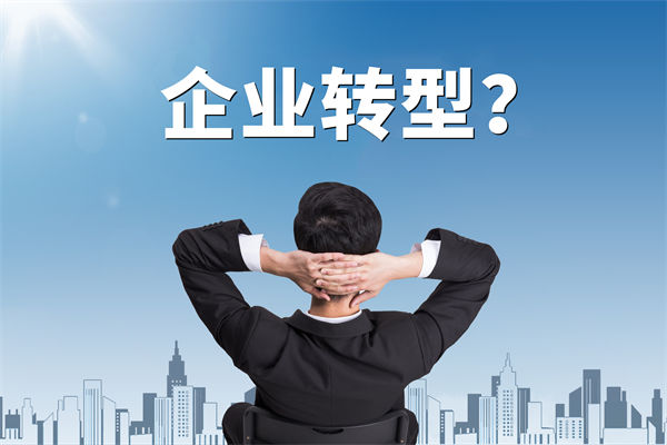 企業(yè)轉(zhuǎn)型無方向，數(shù)智化咨詢公司能否指引明路？