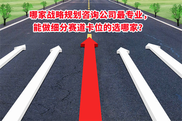 哪家戰(zhàn)略規(guī)劃咨詢公司最專業(yè)，能做細(xì)分賽道卡位的選哪家？